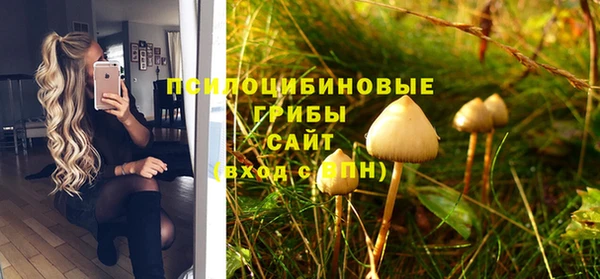 скорость Белокуриха