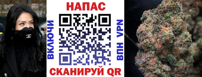 Каннабис OG Kush  Пионерский 